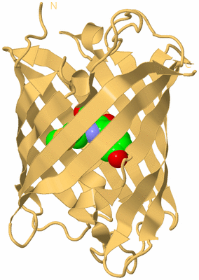 Image Biological Unit 7