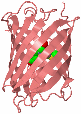 Image Biological Unit 8