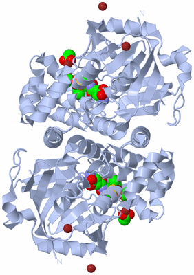 Image Biological Unit 1