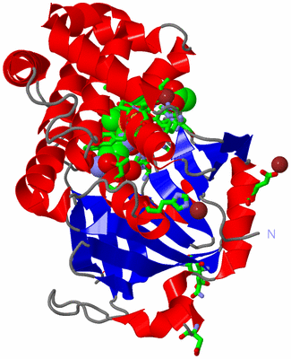 Image Asym. Unit - sites