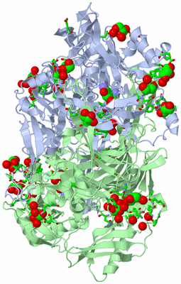 Image Biol. Unit 1 - sites