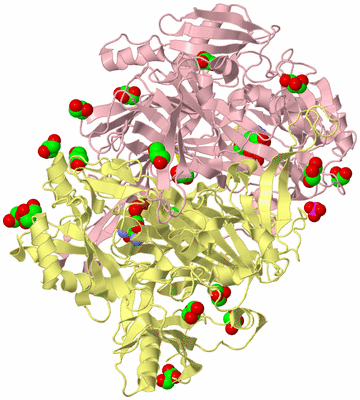 Image Biological Unit 2