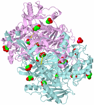 Image Biological Unit 3