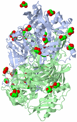 Image Biological Unit 1