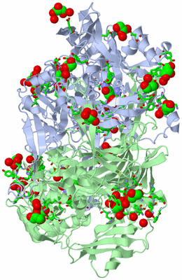 Image Biol. Unit 1 - sites