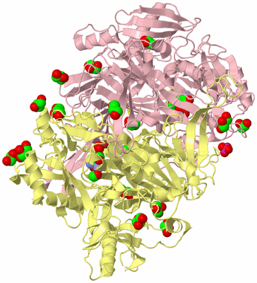 Image Biological Unit 2