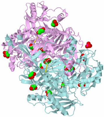 Image Biological Unit 3