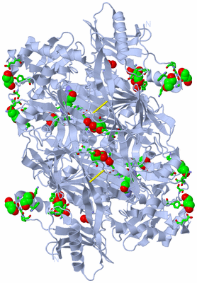 Image Biol. Unit 1 - sites