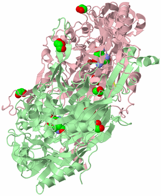 Image Biological Unit 2