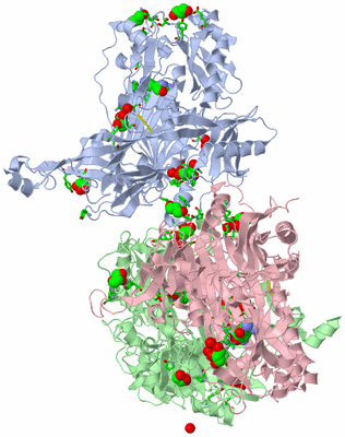 Image Asym. Unit - sites