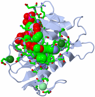 Image Biol. Unit 1 - sites