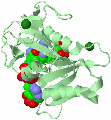 Image Biological Unit 2