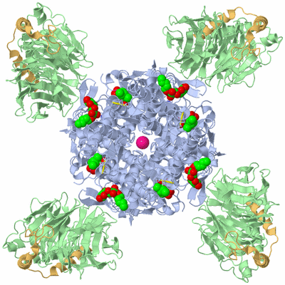 Image Biological Unit 1