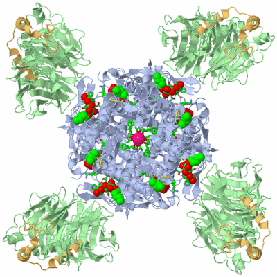 Image Biol. Unit 1 - sites