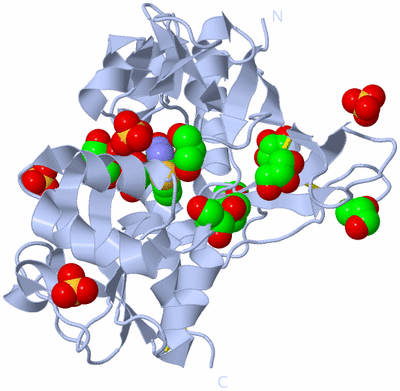 Image Biological Unit 1