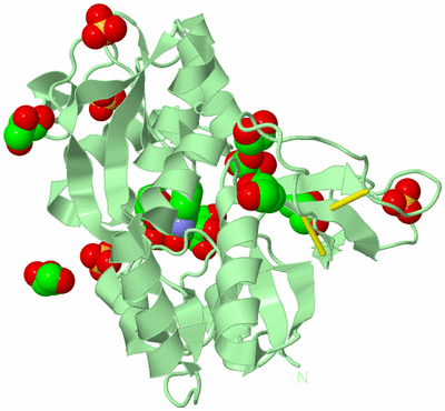 Image Biological Unit 2