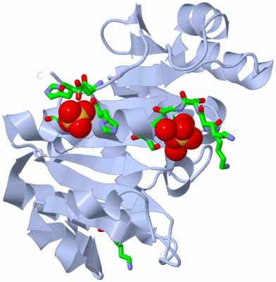 Image Biol. Unit 1 - sites