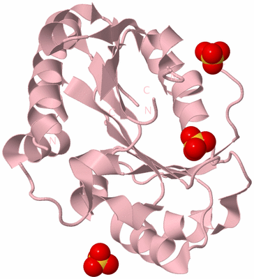 Image Biological Unit 3