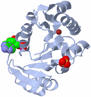 Image Biological Unit 1