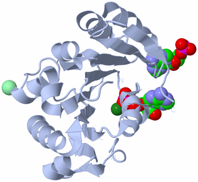 Image Biological Unit 1