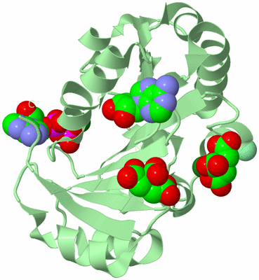 Image Biological Unit 2