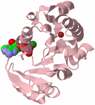 Image Biological Unit 3