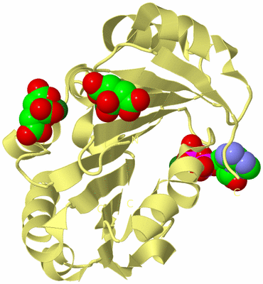 Image Biological Unit 4