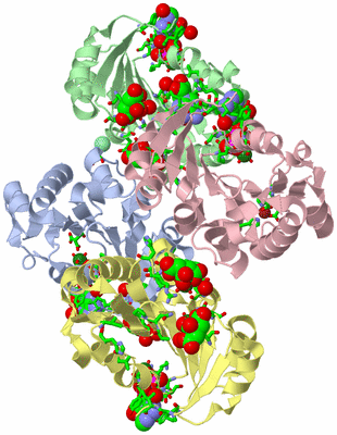 Image Asym. Unit - sites