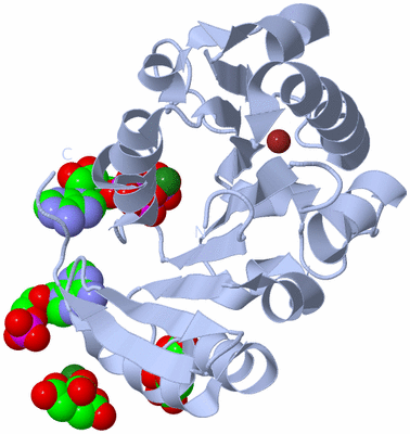 Image Biological Unit 1