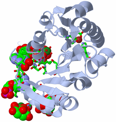 Image Biol. Unit 1 - sites