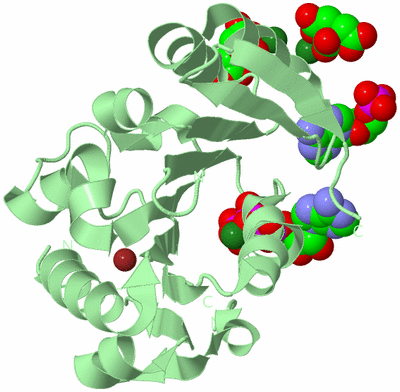 Image Biological Unit 2