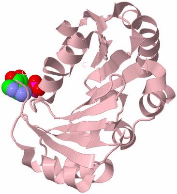 Image Biological Unit 3