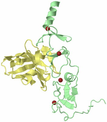 Image Biological Unit 2