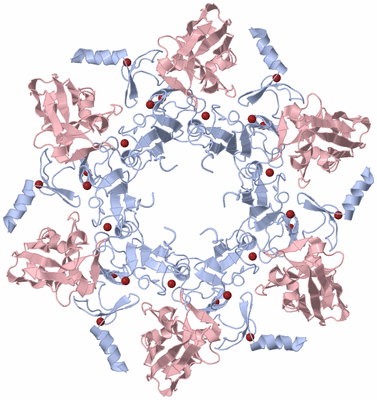 Image Biological Unit 3