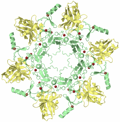 Image Biological Unit 4