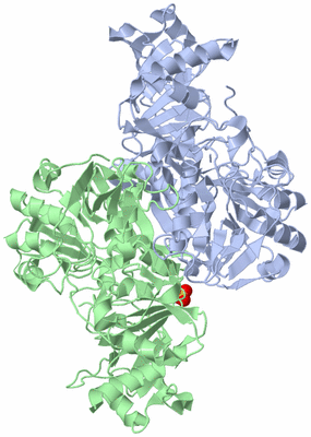 Image Asym./Biol. Unit