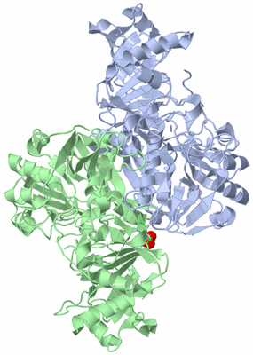 Image Asym./Biol. Unit - sites