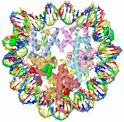 Image Asym./Biol. Unit