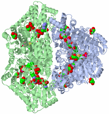 Image Biological Unit 1