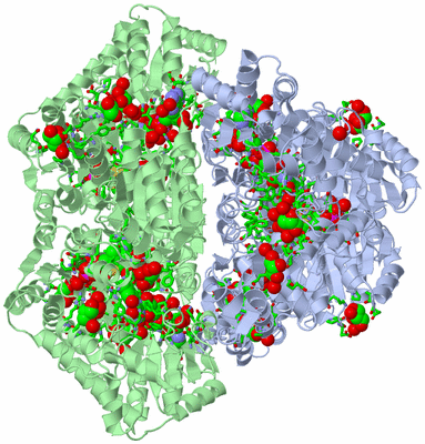 Image Biol. Unit 1 - sites