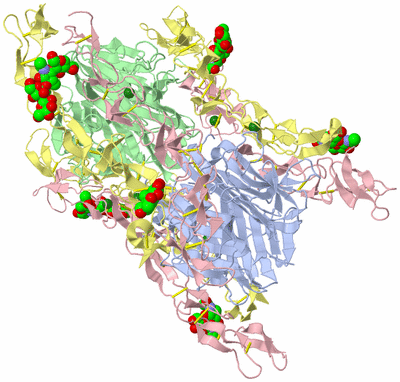 Image Biological Unit 1