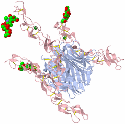 Image Biological Unit 2