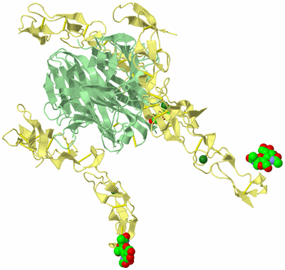 Image Biological Unit 3