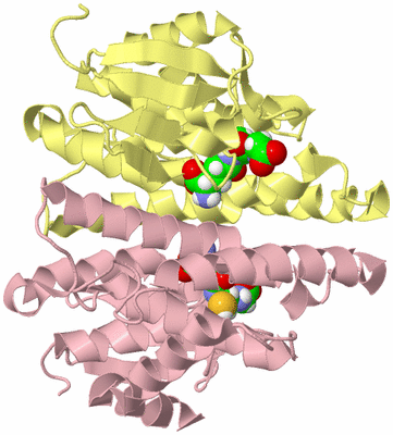 Image Biological Unit 2