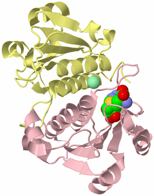 Image Biological Unit 2