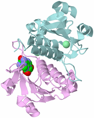 Image Biological Unit 3