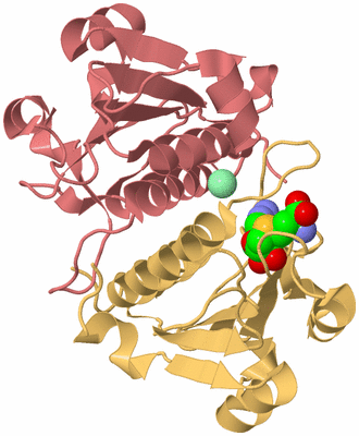 Image Biological Unit 4