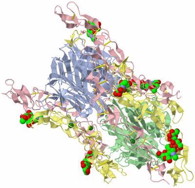 Image Biological Unit 1