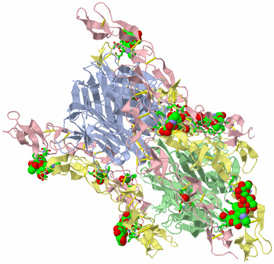 Image Biol. Unit 1 - sites