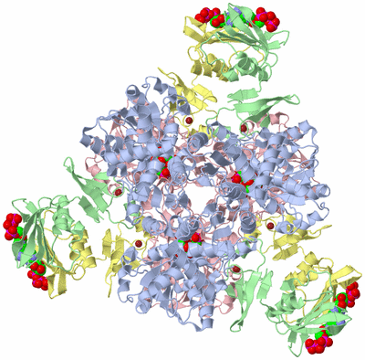 Image Biological Unit 1